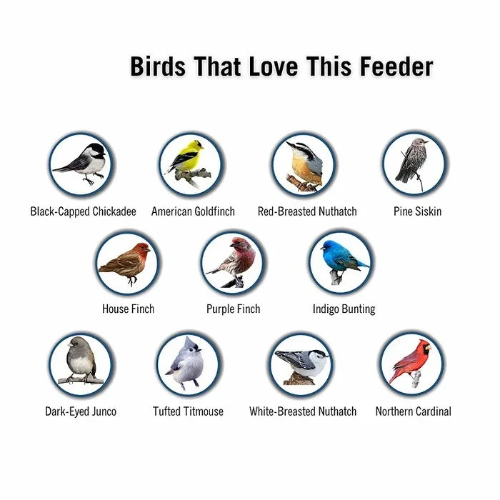 Aviara | Spinning Squirrel-Proof Bird Feeder