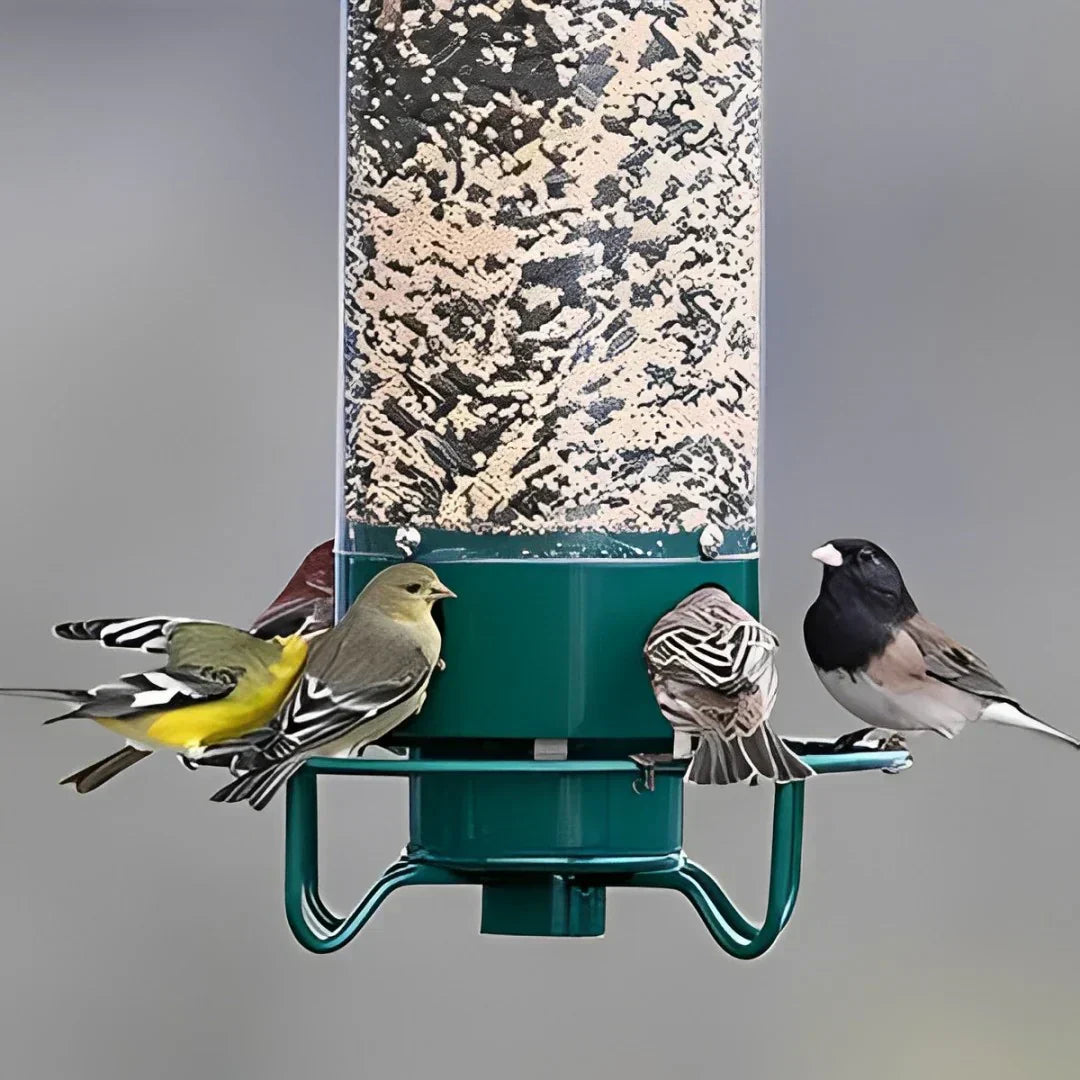 Aviara | Spinning Squirrel-Proof Bird Feeder